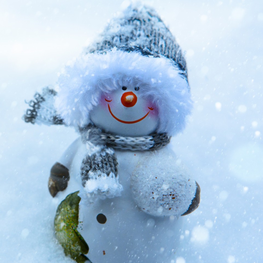 Обои Snowman Covered With Snowflakes 1024x1024