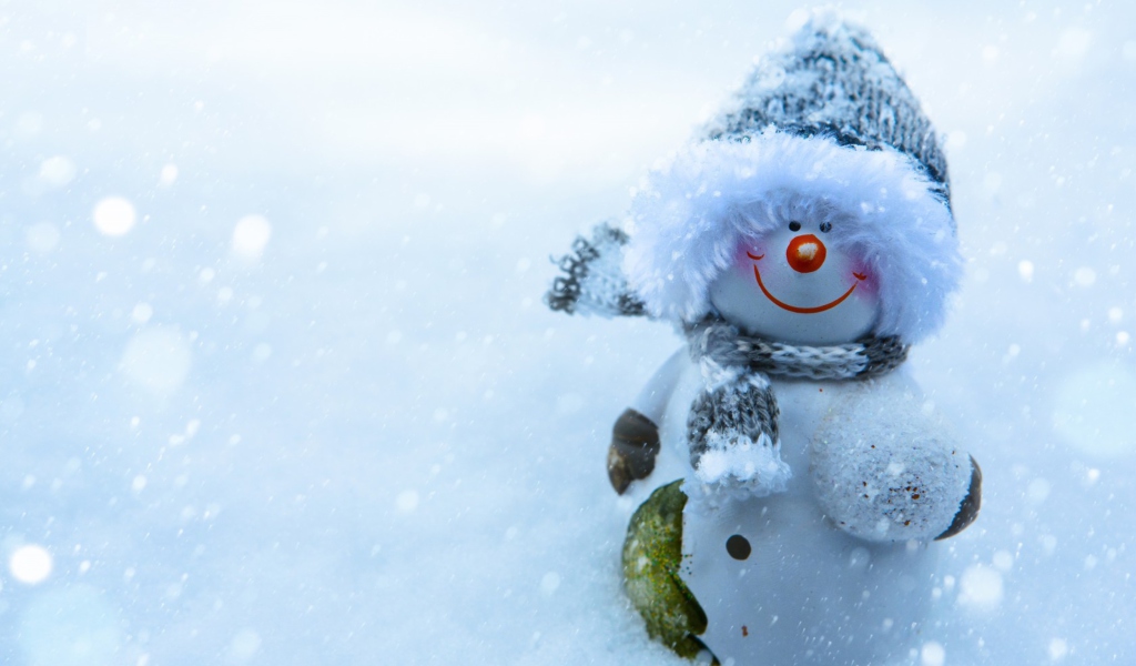 Das Snowman Covered With Snowflakes Wallpaper 1024x600