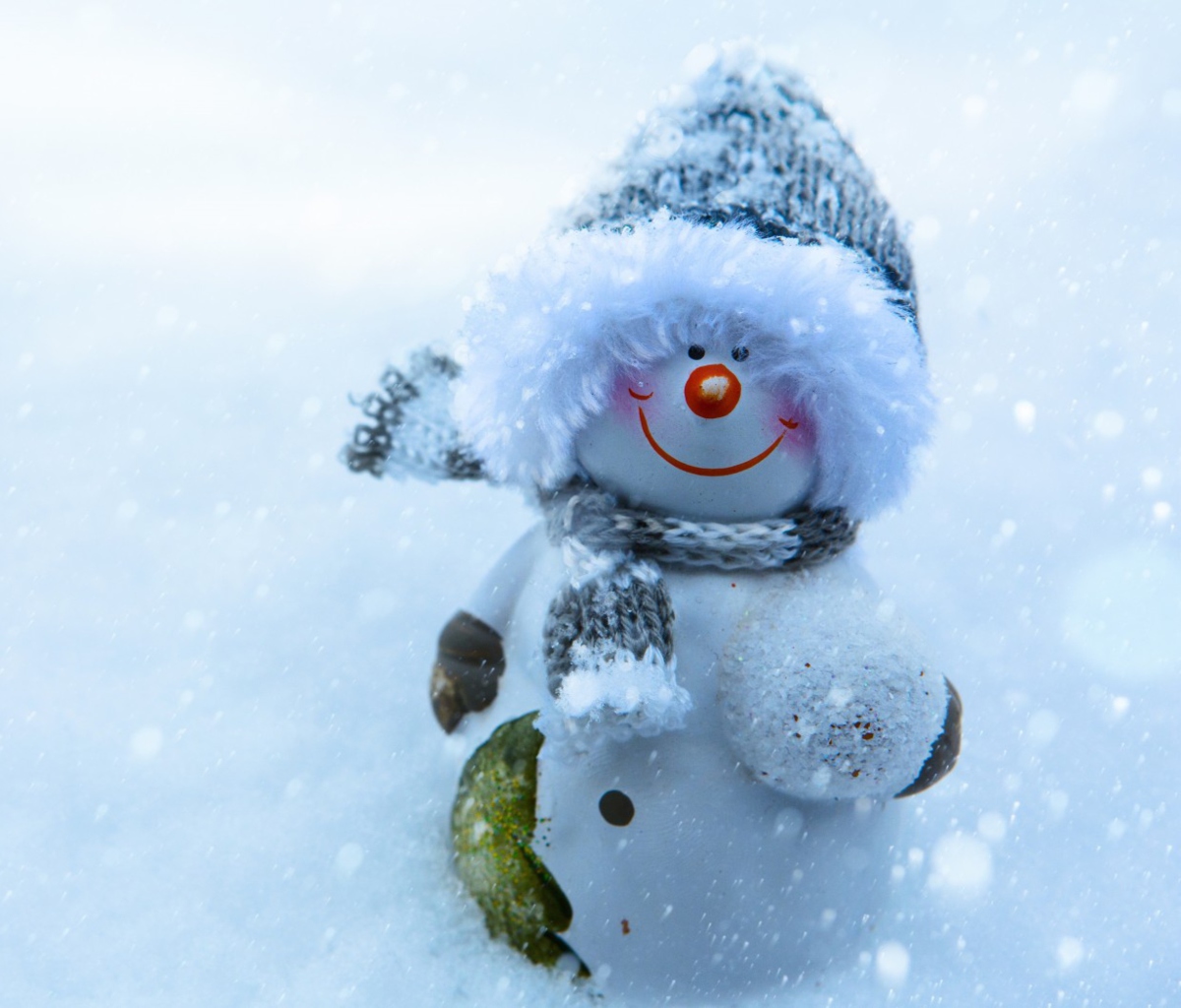 Обои Snowman Covered With Snowflakes 1200x1024