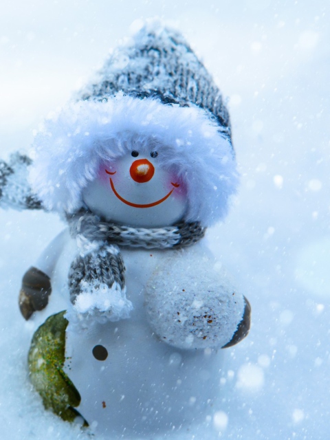 Das Snowman Covered With Snowflakes Wallpaper 480x640