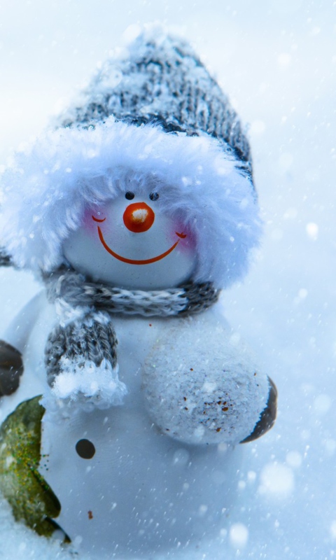 Das Snowman Covered With Snowflakes Wallpaper 480x800