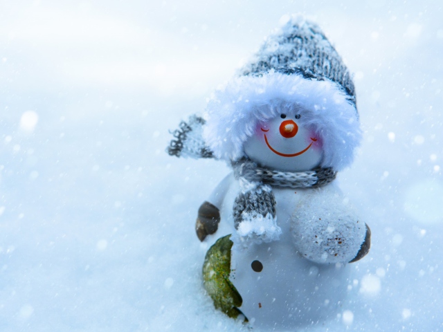 Fondo de pantalla Snowman Covered With Snowflakes 640x480