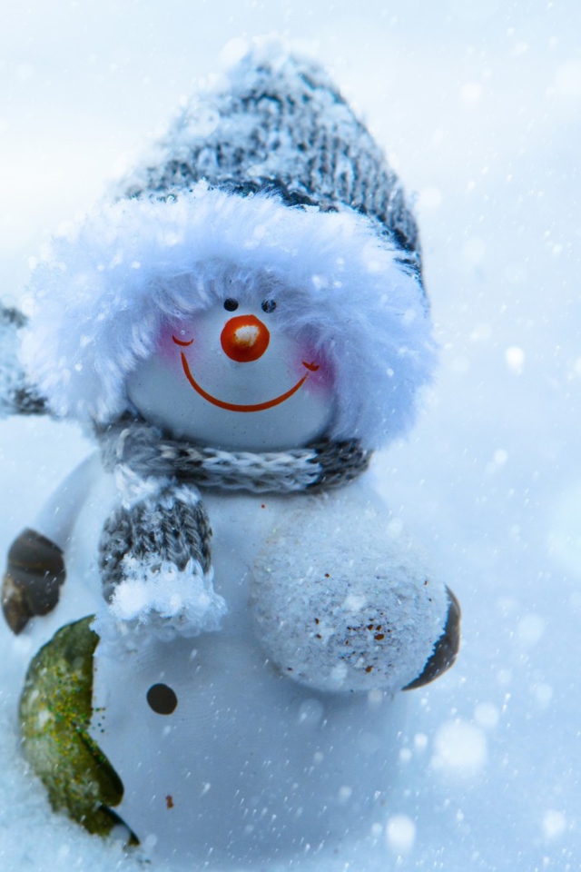Screenshot №1 pro téma Snowman Covered With Snowflakes 640x960