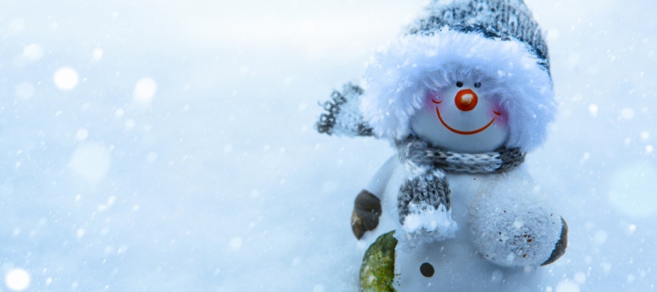 Fondo de pantalla Snowman Covered With Snowflakes 720x320