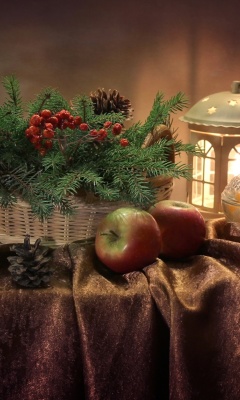 Das Winter Still Life Wallpaper 240x400