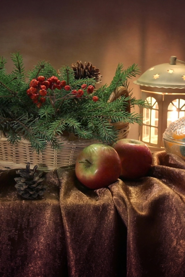 Winter Still Life wallpaper 640x960