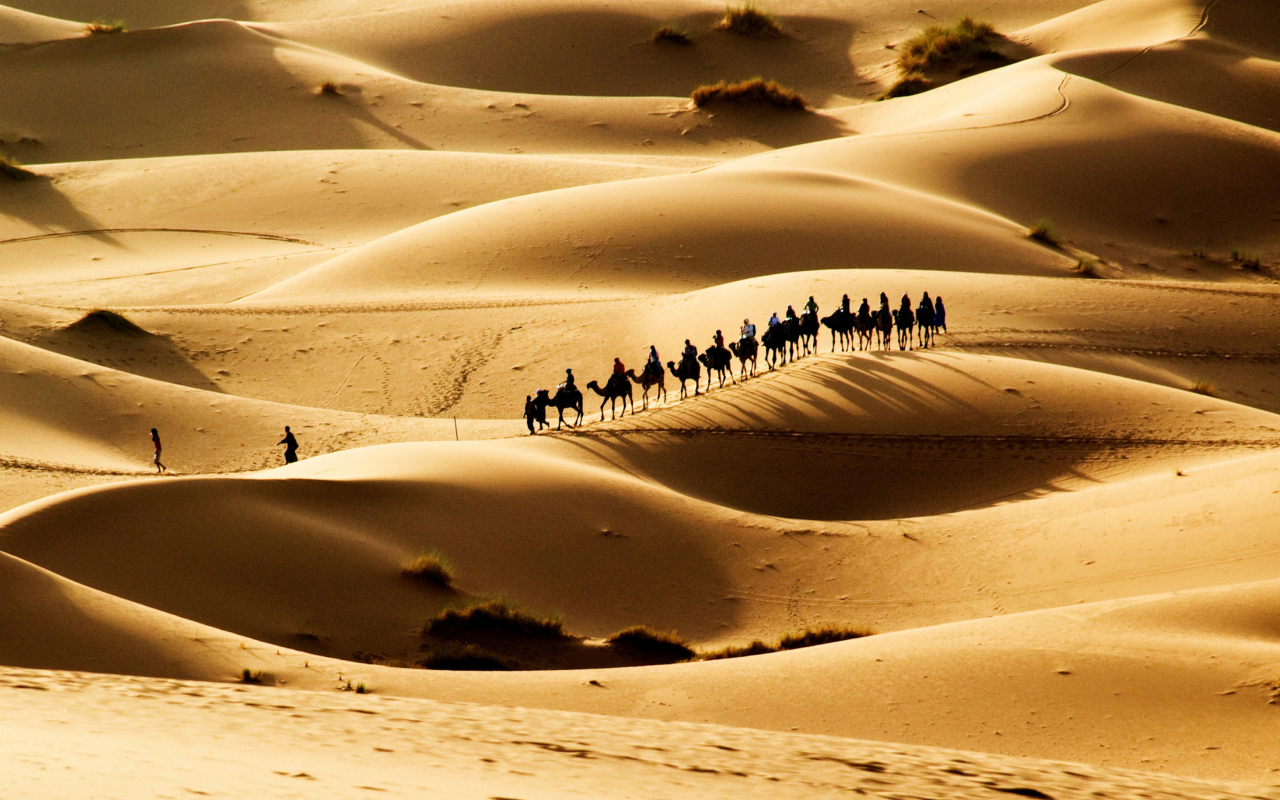 Das Camel Caravan In Desert Wallpaper 1280x800