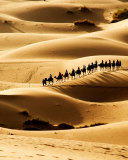 Das Camel Caravan In Desert Wallpaper 128x160