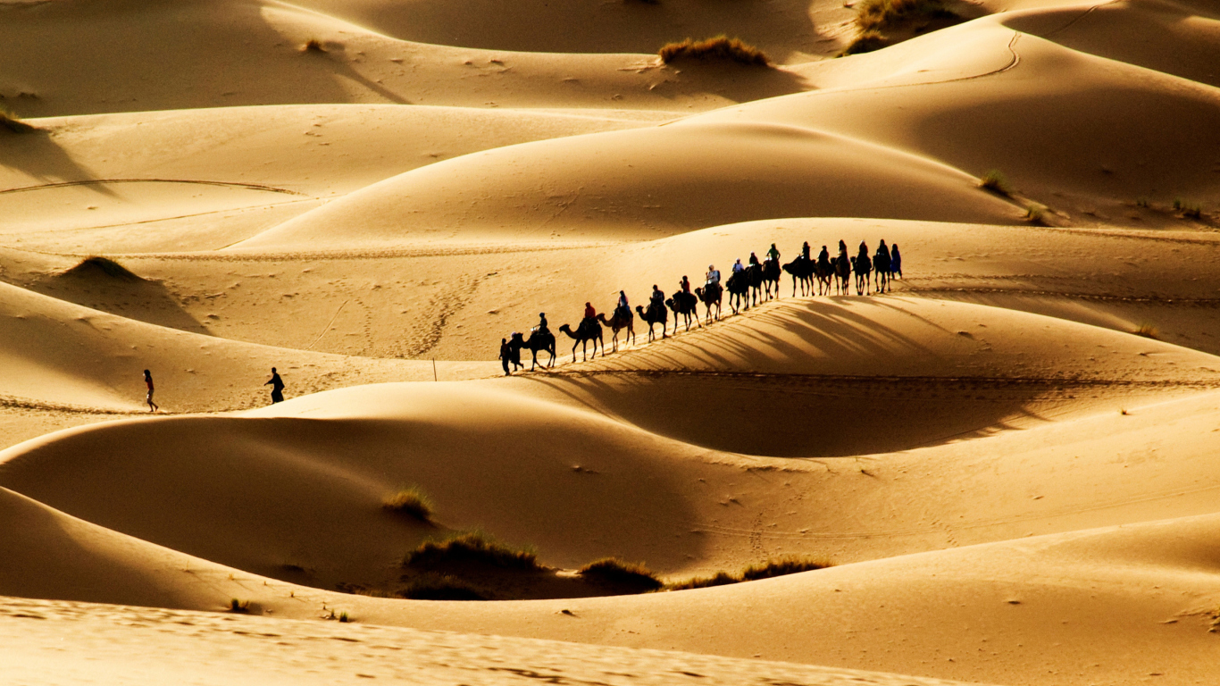 Camel Caravan In Desert wallpaper 1366x768