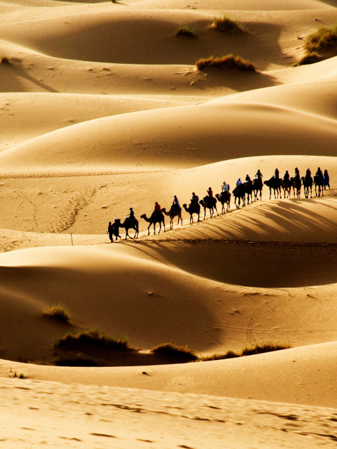 Sfondi Camel Caravan In Desert 480x640