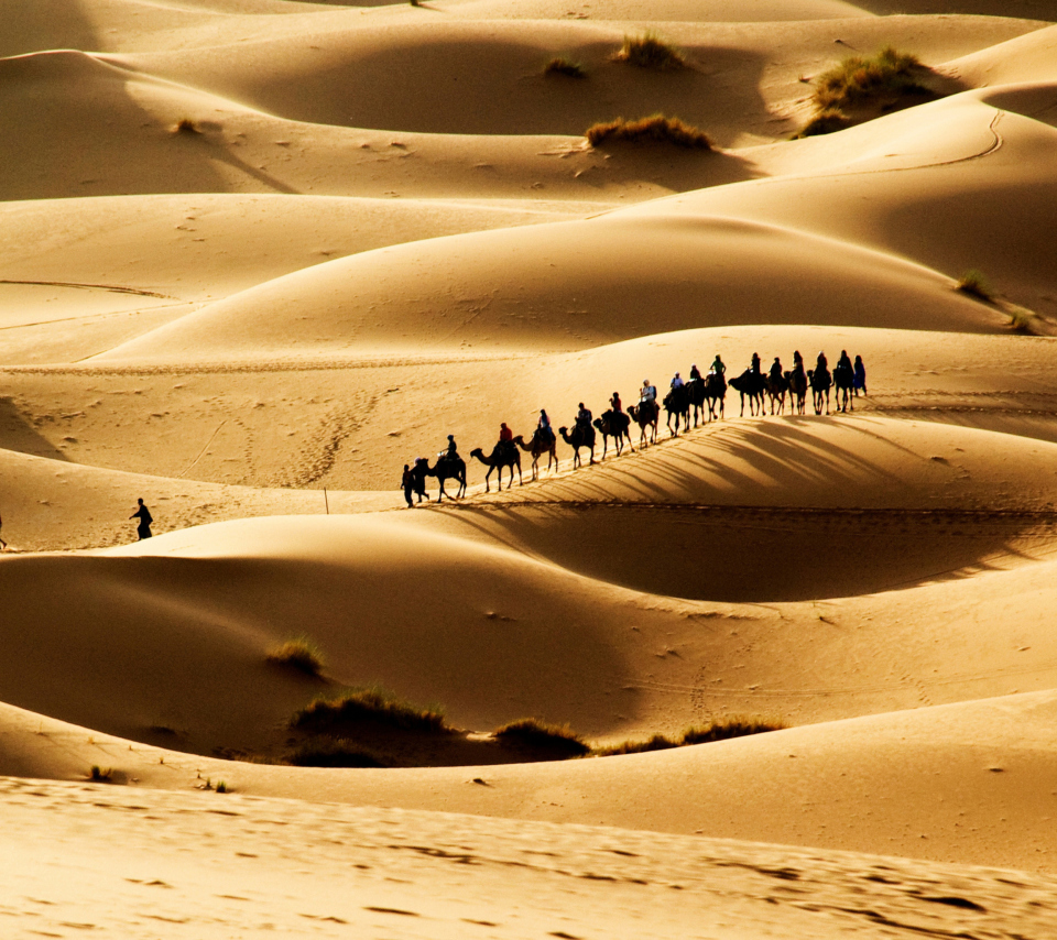 Das Camel Caravan In Desert Wallpaper 960x854