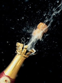 Champagne Cork screenshot #1 240x320