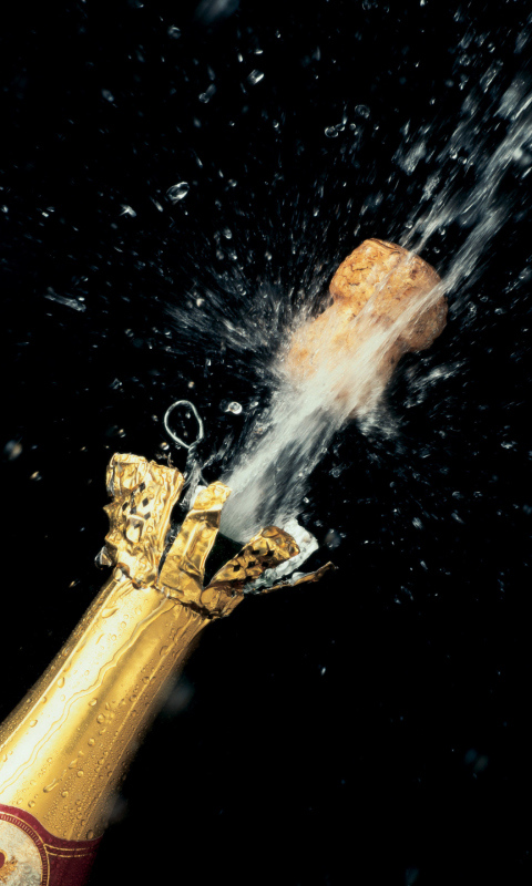 Champagne Cork screenshot #1 480x800
