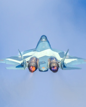 Sukhoi Su 30MKK wallpaper 176x220