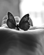 Sfondi Butterfly In Hand 176x220