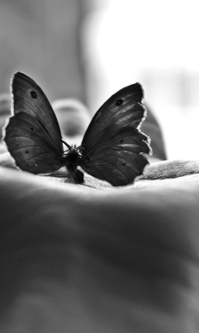 Das Butterfly In Hand Wallpaper 768x1280