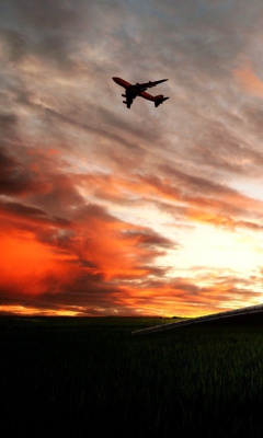 New Zealand Flight wallpaper 240x400