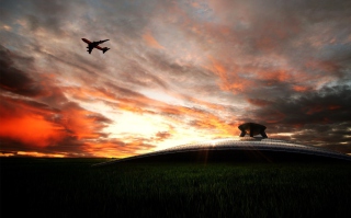Free New Zealand Flight Picture for Android, iPhone and iPad