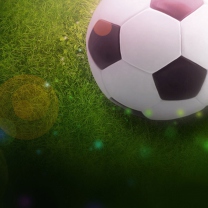 Screenshot №1 pro téma Soccer Ball 208x208