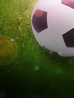 Screenshot №1 pro téma Soccer Ball 240x320