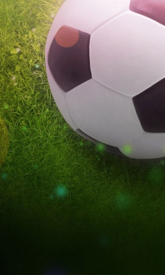 Fondo de pantalla Soccer Ball 240x400