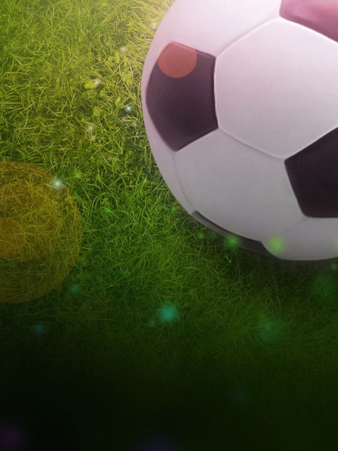Das Soccer Ball Wallpaper 480x640