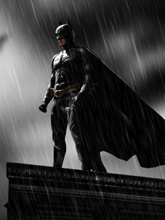 Screenshot №1 pro téma Batman 240x320