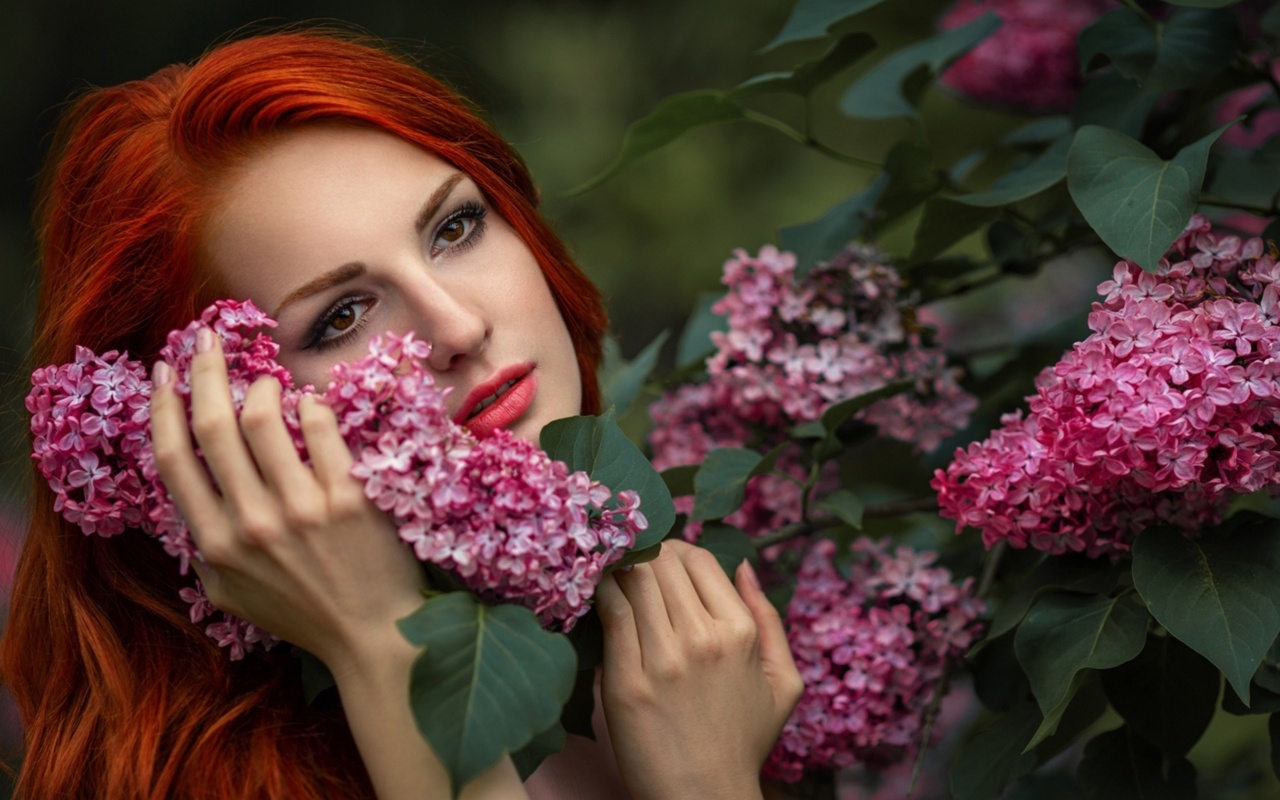 Girl in lilac flowers wallpaper 1280x800