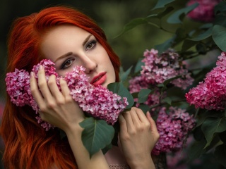 Girl in lilac flowers wallpaper 320x240