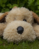 Lonely Plush Dog screenshot #1 128x160