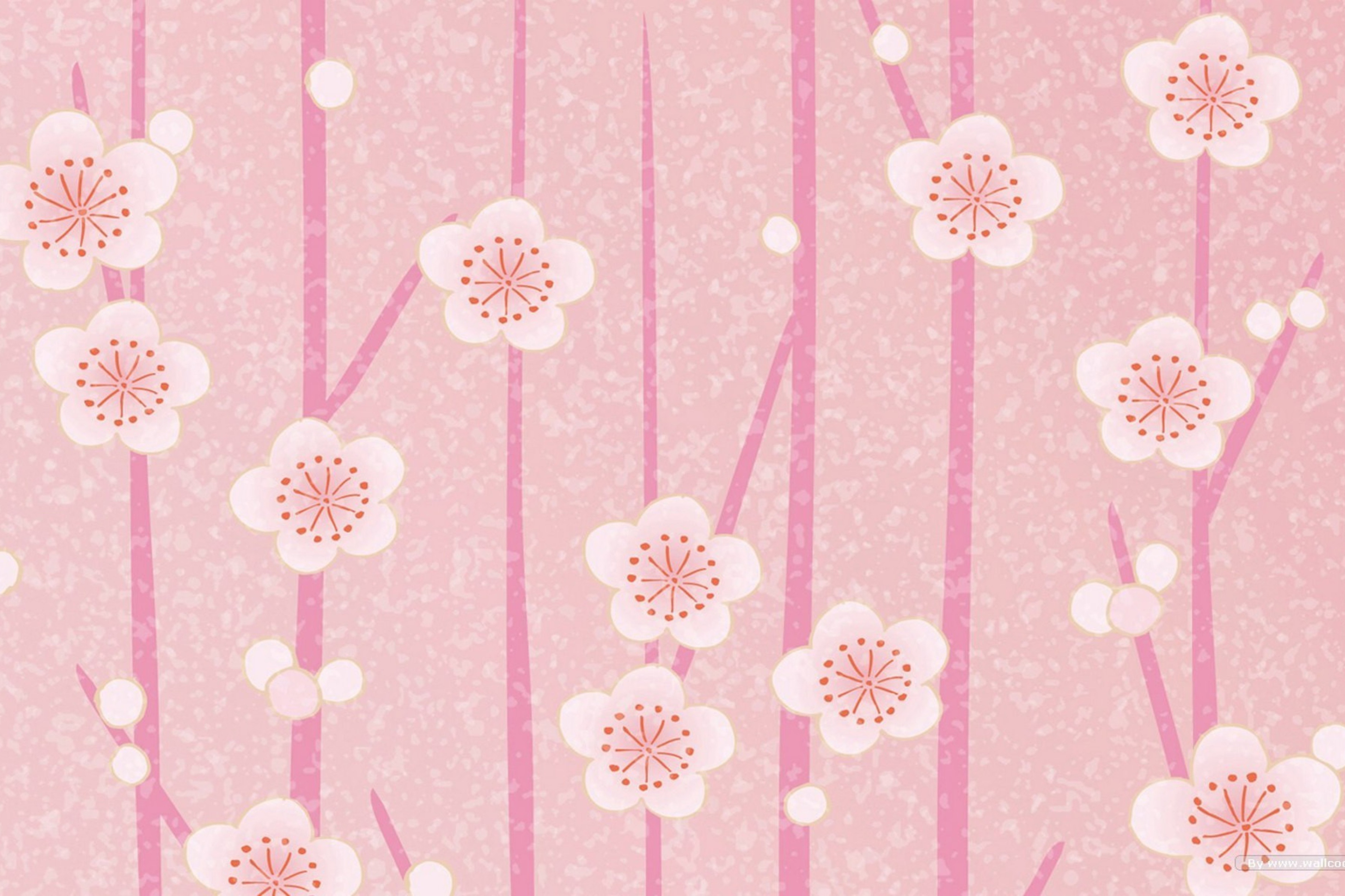 Das Pink Flowers Wallpaper Wallpaper 2880x1920