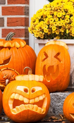 Halloween Pumpkin screenshot #1 240x400