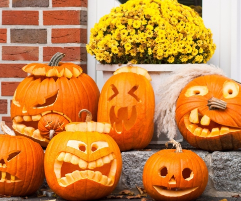 Fondo de pantalla Halloween Pumpkin 480x400