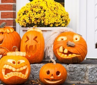 Halloween Pumpkin sfondi gratuiti per iPad mini