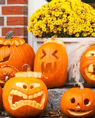 Halloween Pumpkin - Fondos de pantalla gratis para Nokia Asha 308