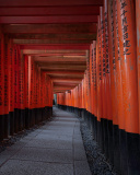 Das Fushimi Inari Taisha in Kyoto Wallpaper 128x160