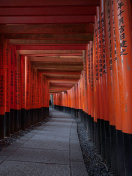 Обои Fushimi Inari Taisha in Kyoto 132x176