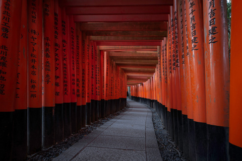 Screenshot №1 pro téma Fushimi Inari Taisha in Kyoto 480x320