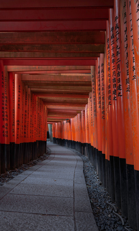 Das Fushimi Inari Taisha in Kyoto Wallpaper 480x800