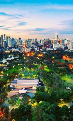 Screenshot №1 pro téma Beautiful Bangkok City 240x400
