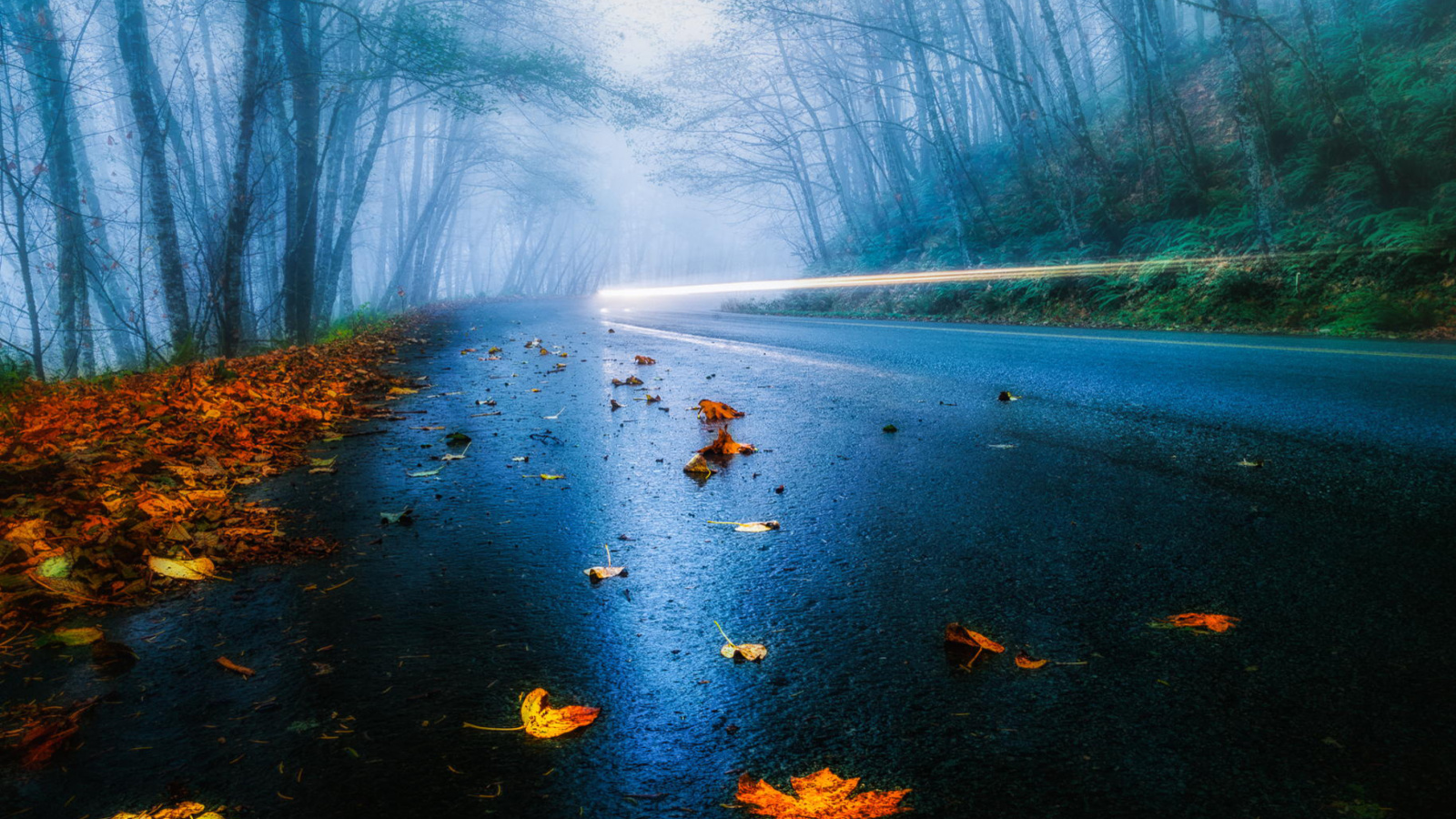 Mist Road screenshot #1 1600x900