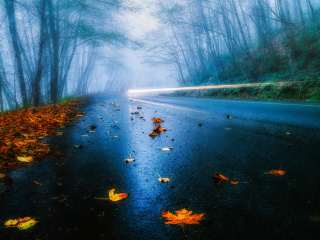 Sfondi Mist Road 320x240