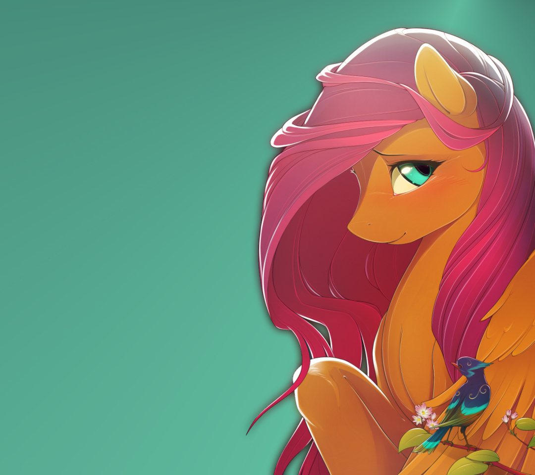 My Little Pony - Friendship is Magic wallpaper 1080x960
