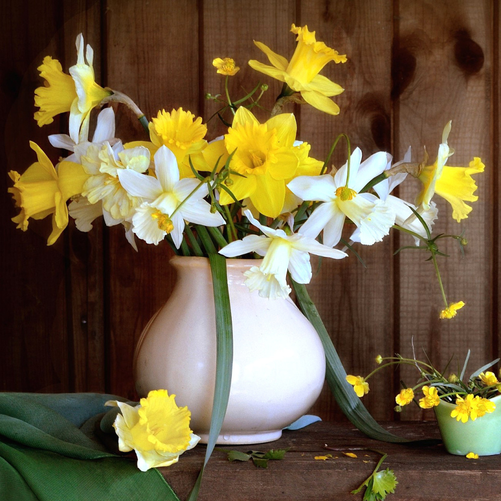 Daffodil Jug wallpaper 1024x1024