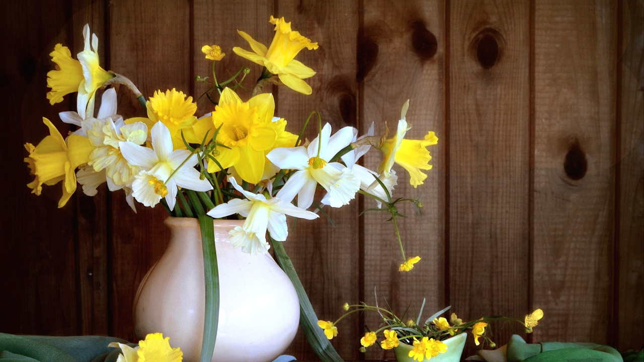 Fondo de pantalla Daffodil Jug 1280x720