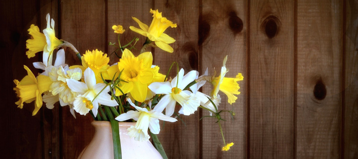 Das Daffodil Jug Wallpaper 720x320