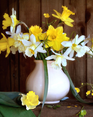 Kostenloses Daffodil Jug Wallpaper für 240x320