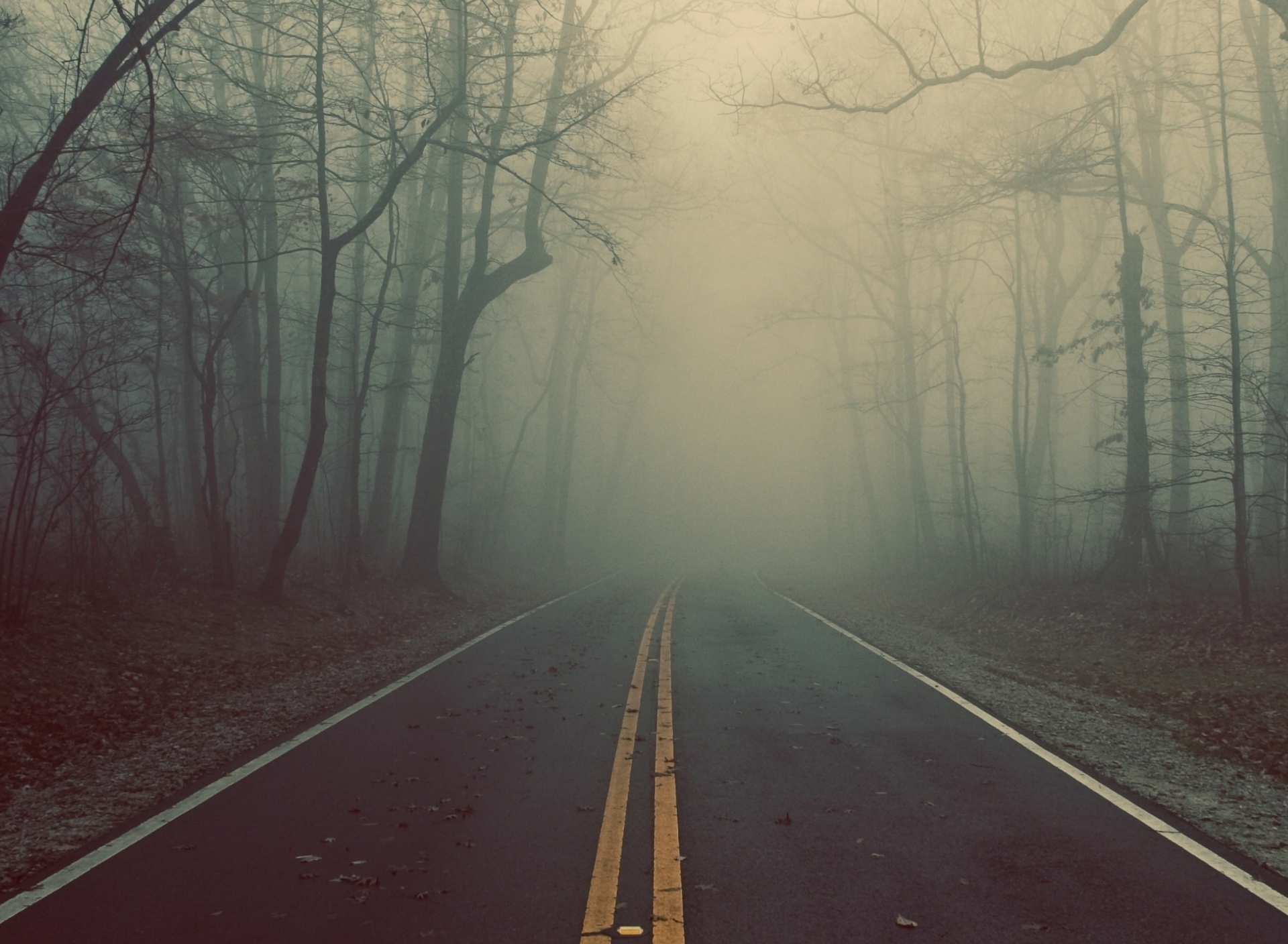 Fondo de pantalla Foggy Road 1920x1408