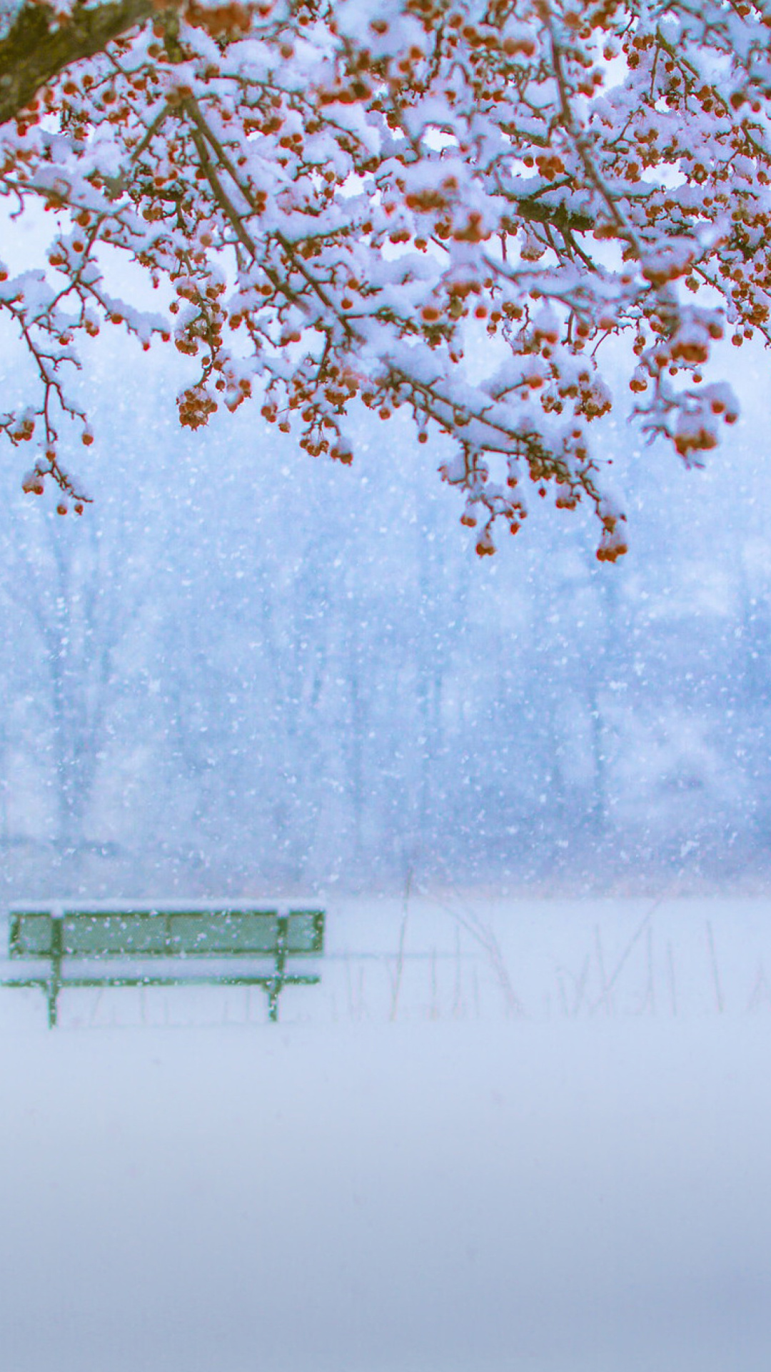 Park in Snow wallpaper 1080x1920