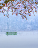 Das Park in Snow Wallpaper 128x160